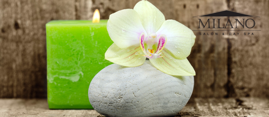 orchid
